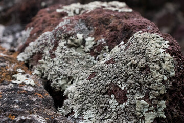 Textura de roca volcánica roja con mo