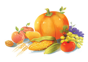 Naklejka na ściany i meble Autumn still life of fruits and vegetables. Hand-drawing Illustration. Isolated on white background