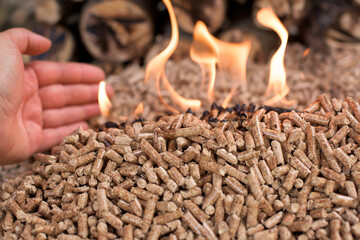 Wooden pellets in flames 