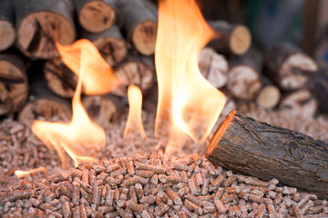 Renewable source - burning wood chip pellets and log