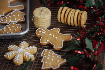 christmas gingerbread cookies