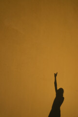 Shadow portrait of a dancing young girl on vacation. Silhouette drawn by the setting sun.