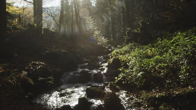 Bergfluss flie&szlig;t durch Steine und Laub im herbstlichen Wald