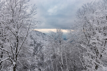 Paisajes nevados en el valle de Artikutza, zona de Bianditz
