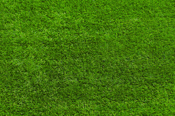 Obraz na płótnie Canvas Green grass texture for background, nature abstract image, blank copy space