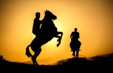 Obraz na płótnie Canvas silhouette of a horse on sunset