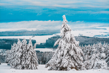 Forest after a heavy snowfall. Winter landscape
