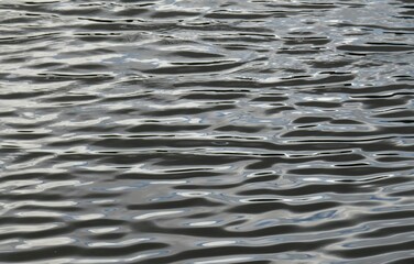 Ripples on dark water surface, natural background, closeup