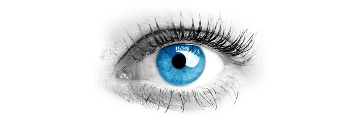 Blue eye of a woman. Wide bright banner and an eye in the center.