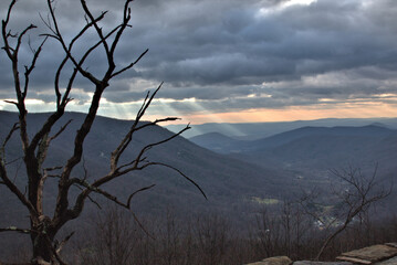 Silhouette of trees against the Appalachia landscape