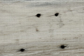 old wood texture of pallets.