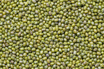 Fresh seed green beans background.