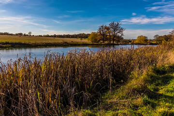 A view across the river Linnet near to Bury St Edmund, Suffolk