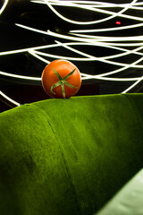 tomato on the grass . lighting tomato