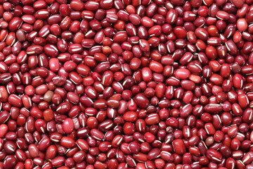 Fresh small seed of red beans background.