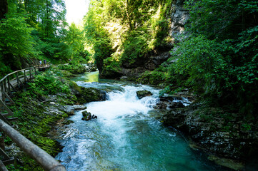 Slovenia river Radovna Valley, Blejski Vintgar