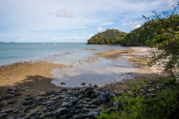 beach and coast at low tide