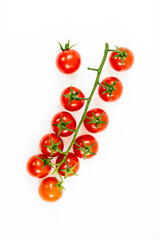 branch of cherry tomatoes on white background