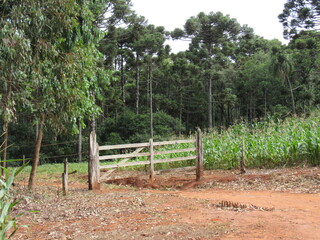 farm road