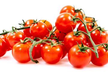 cherry tomatoes on branch on white background