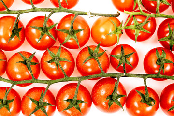 cherry tomatoes on branch on white background