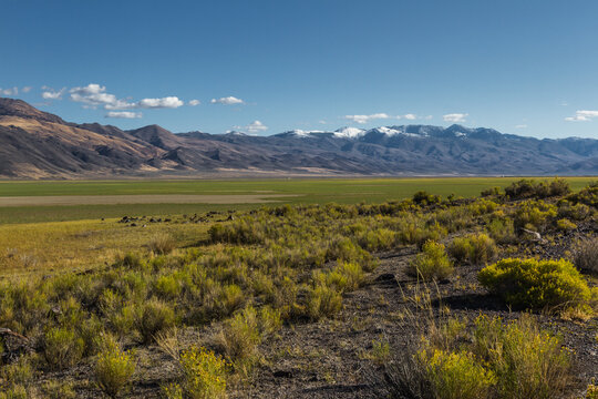 North western Nevada