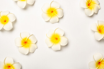 White tropical flowers on a light background. Pattern. Composition Valentine's Day. Banner. Flat lay, top view
