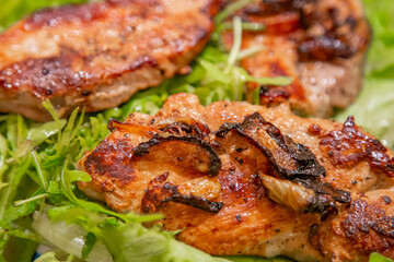 Appetizing juicy piece of well-done meat and fresh green lettuce leaves