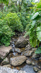 El Yunque, Bano Grande