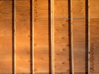 a wall of a house under construction showing studs and plywood sheathing