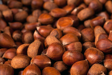 Pile of fresh organic hazelnuts