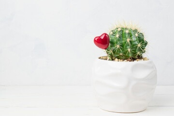 A cactus with a red heart in a white port is on the shelf. A gift for Valentine's Day. Indoor...