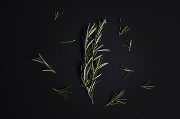 bunch of rosemary whit leaf in the middle on black background