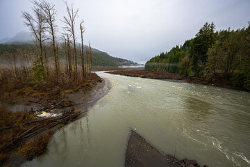 View of the Elwha River, Olympic National Park, WA