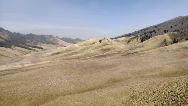 Drone Of Mountains And Tree In Bromo Tengger Semeru