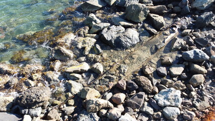 Naturaleza, Mar, Playa, Rustico.
