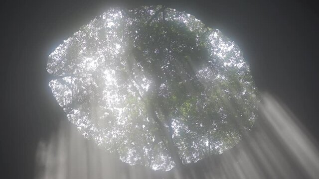 Sunrays Streaming Through Goa Jomblang