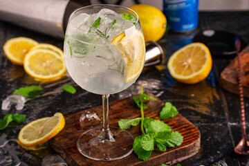Gin tônica com hortelã