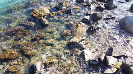 Naturaleza, Mar, Playa, Rustico.