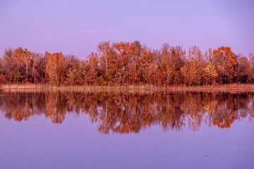 autumn trees reflected in water