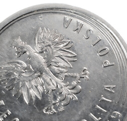 photo of the eagle on the Polish 1 zloty coin