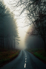 road in the fog