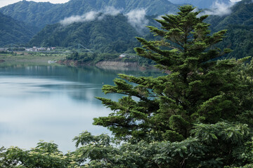 Fototapeta na wymiar 宮ヶ瀬湖