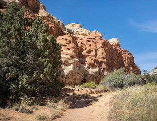 Fototapeta premium Golden sandstone geographical formations with a desert prairie landscape on a hot summer day at the Cohan Canyon Trail in Capitol Reef National Park Southern Utah.