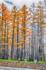 Kamikochi National Park in the Northern Japan Alps of Nagano Prefecture, Japan. Beautiful mountain in autumn leaf with river.