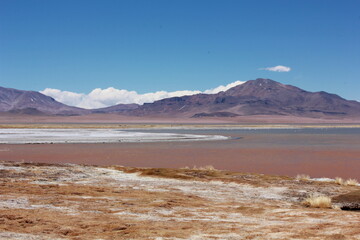 Atacama's lake