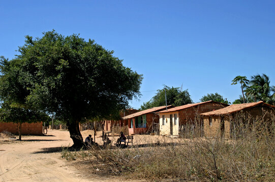 Casas em vilarejo quilombola. Bahia