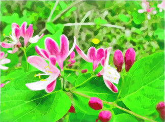 Watercolor floral pattern. Digital painting illustration. Pink lilac honeysuckle flowers on branch. Flower pattern with honeysuckle. Springtime landscape with flowers. Natural watercolor composition