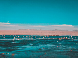 Stunning panoramic view of famous wild Siloli Desert. Beautiful landscape of spectacular Bolivian Andes and the Altiplano along the scenic road between Salar de Uyuni and Laguna Colorada, in Bolivia