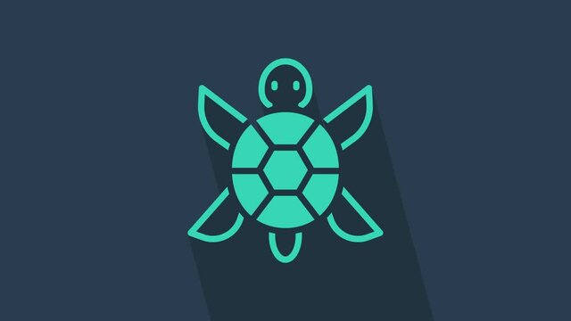Turquoise Turtle icon isolated on blue background. 4K Video motion graphic animation.